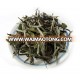 Best White Peony White Tea